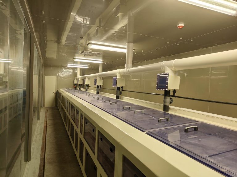 Dispensing head over a tray of panels